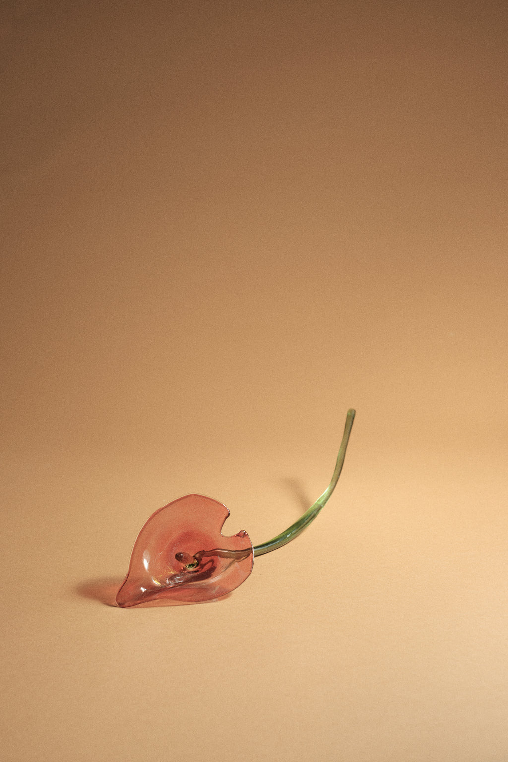 Flor Selva Roja