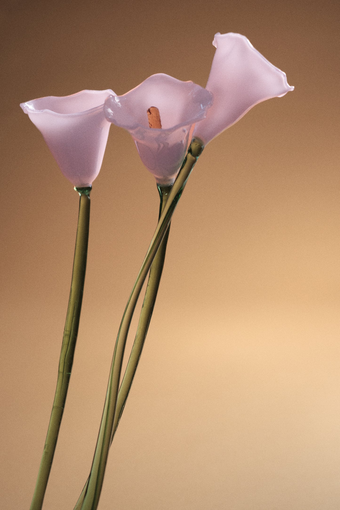 Flor Cala Chic Pink