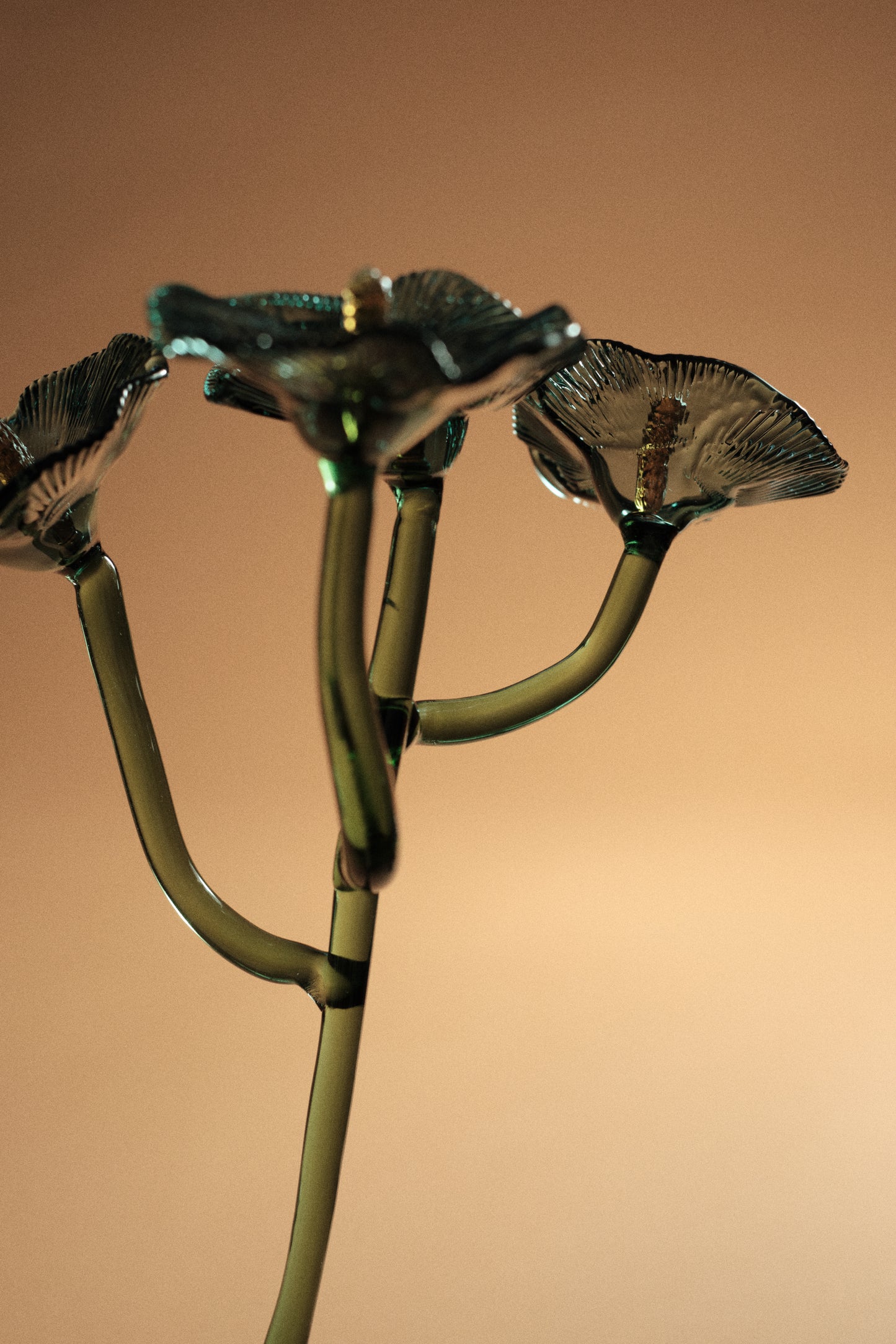 Inflorescencia Azul Teal