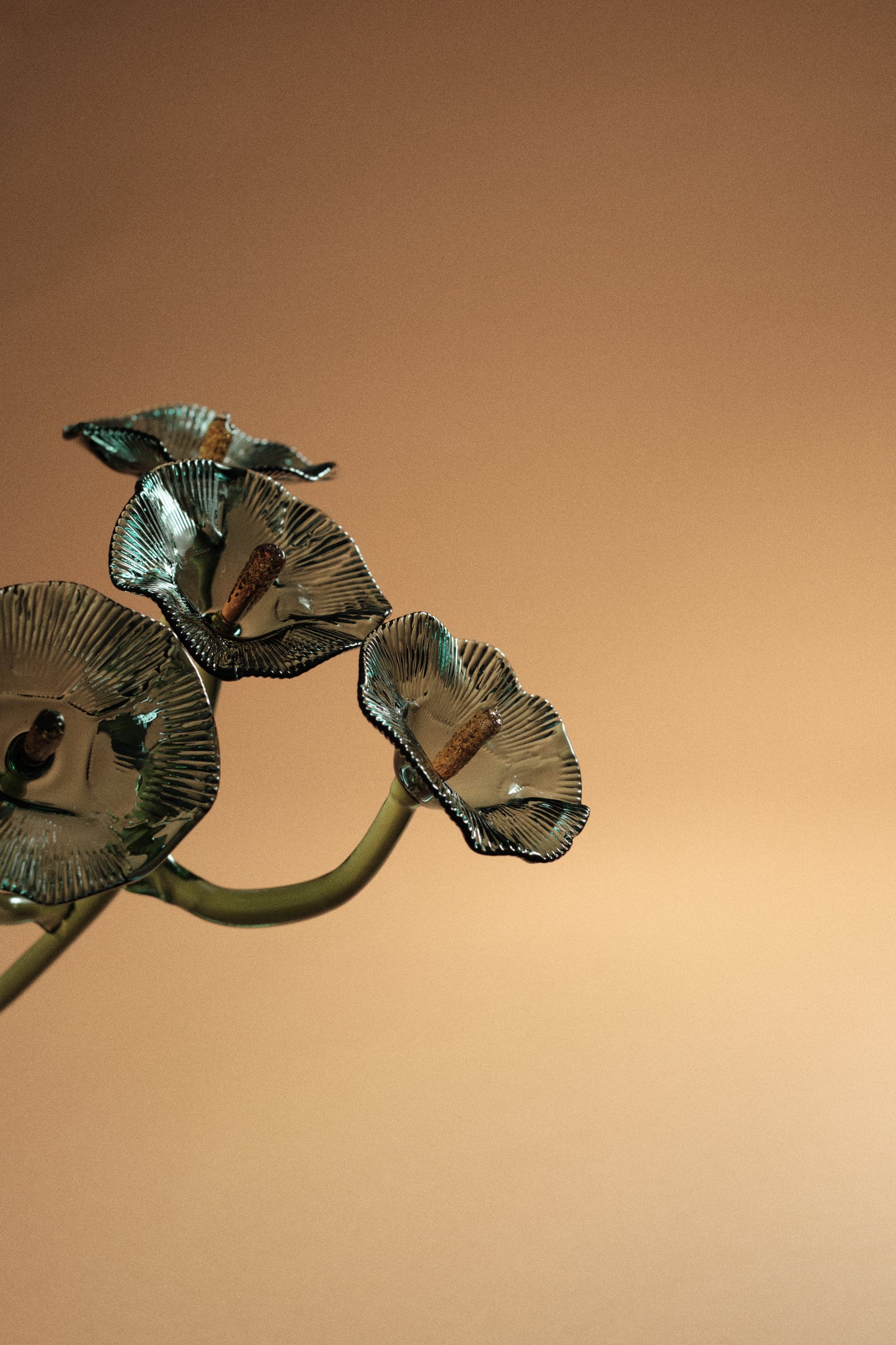 Inflorescencia Azul Teal