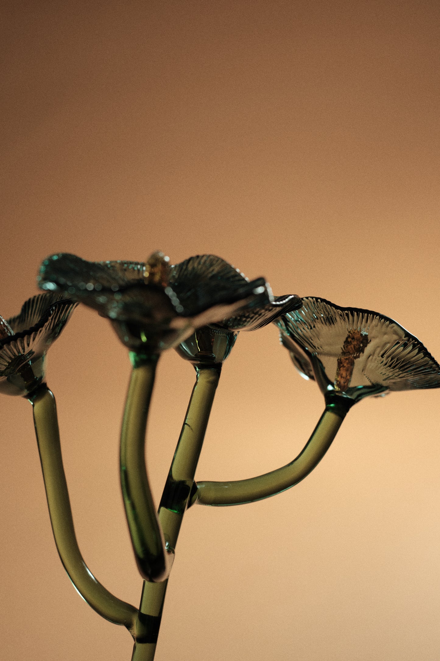 Inflorescencia Azul Teal