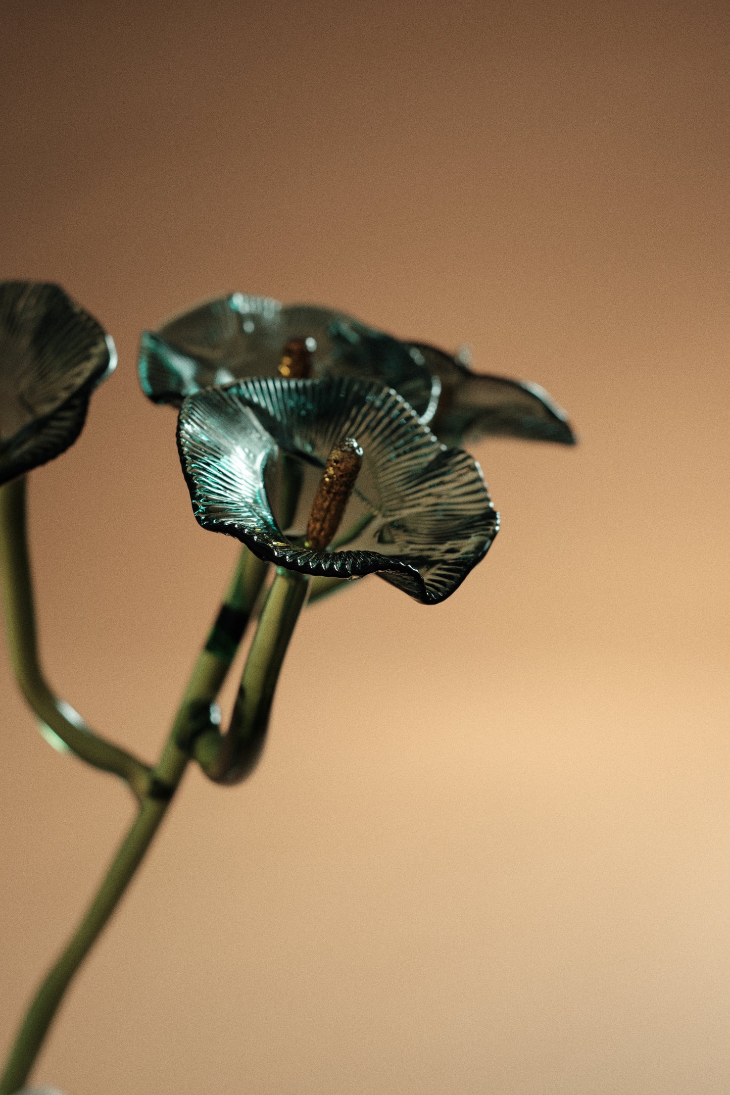 Inflorescencia Azul Teal