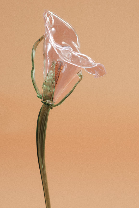 Flor Cala Rosa Traslúcida con hojas