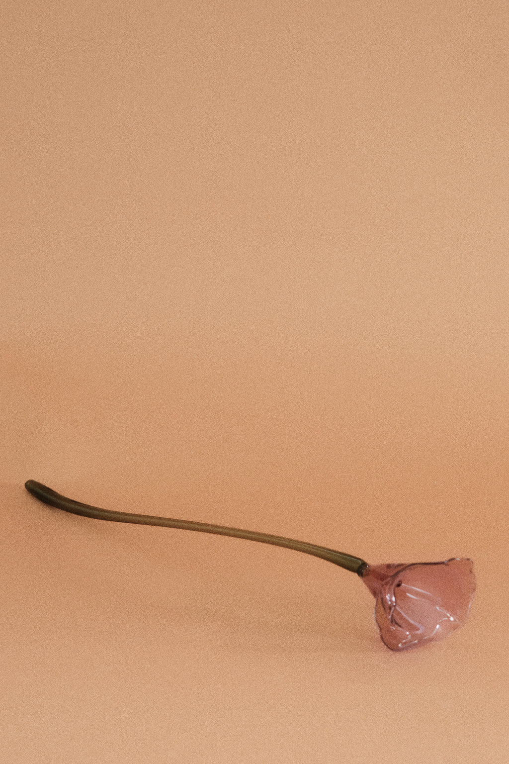 Flor Cala Malva