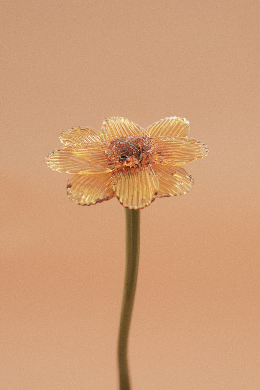Flor Margarita Limón