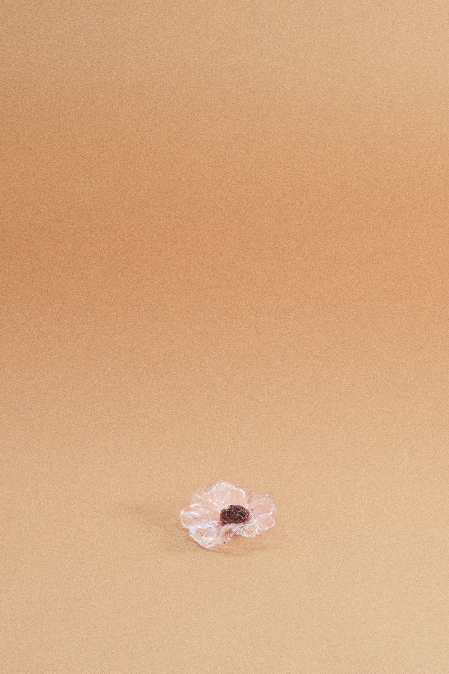 Broche Amapola Rosa Traslúcido