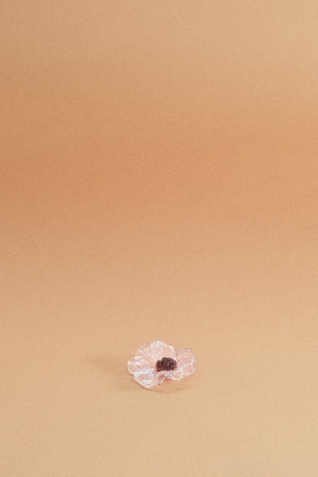 Broche Amapola Rosa Traslúcido