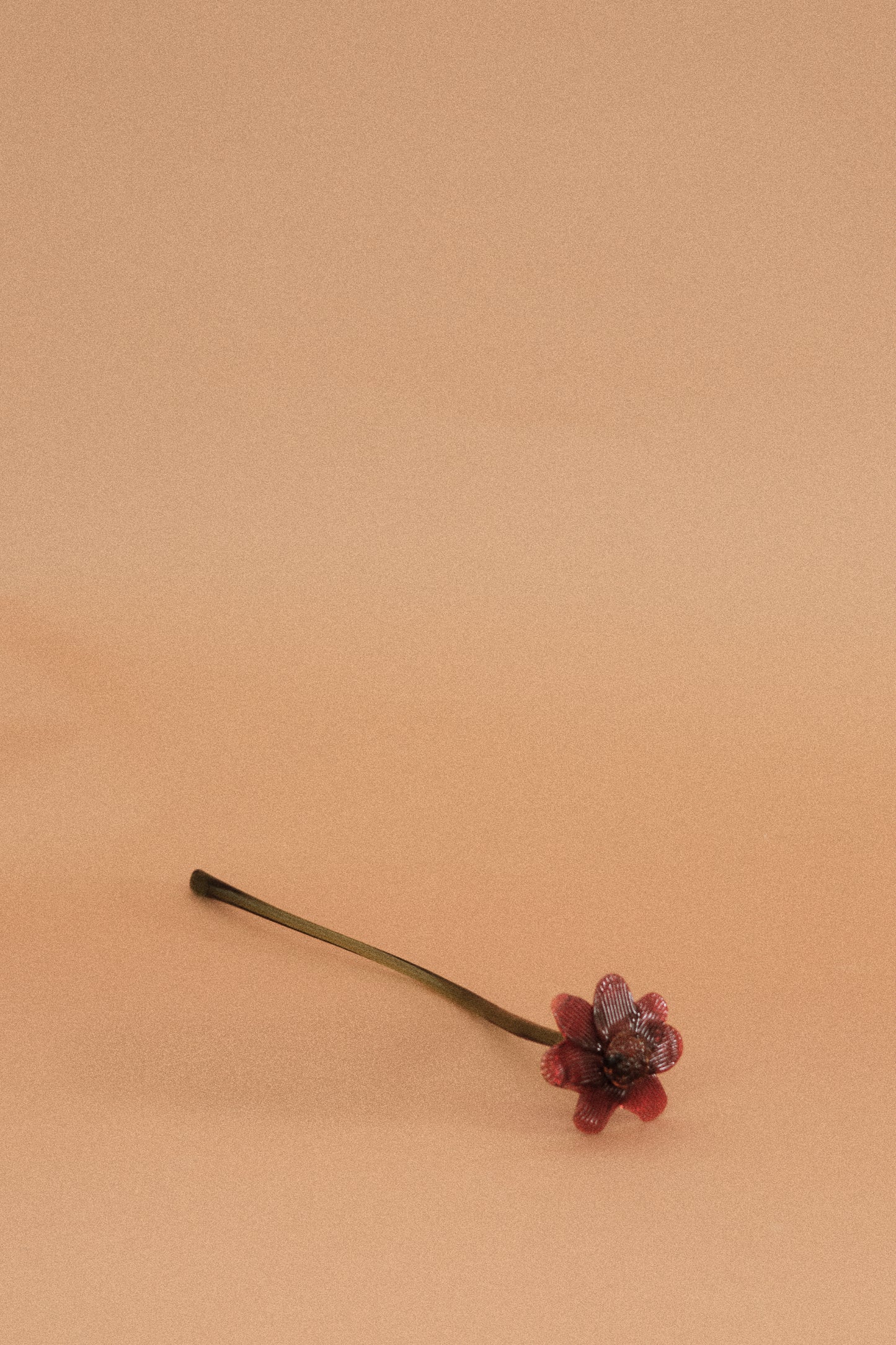 Flor Margarita Roja