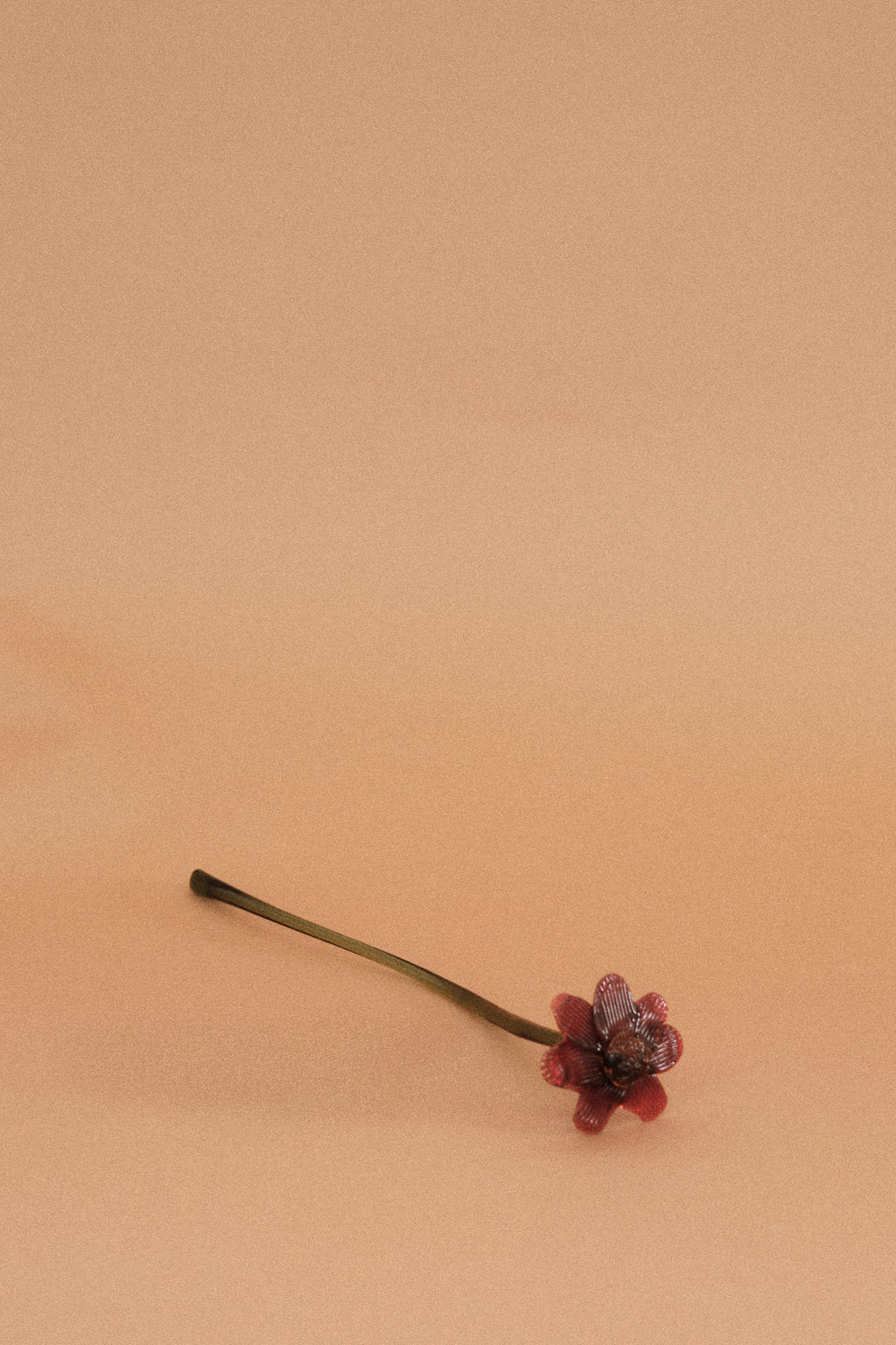 Flor Margarita Roja