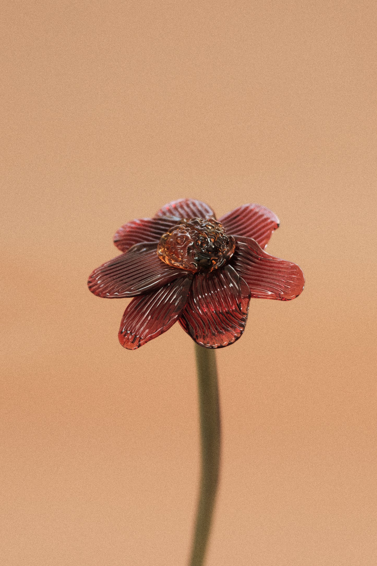 Flor Margarita Roja