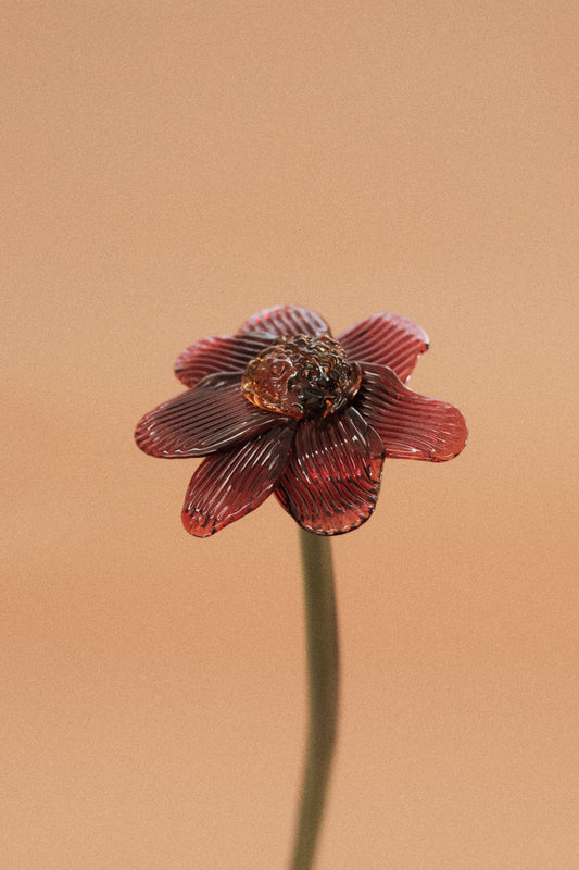 Flor Margarita Roja