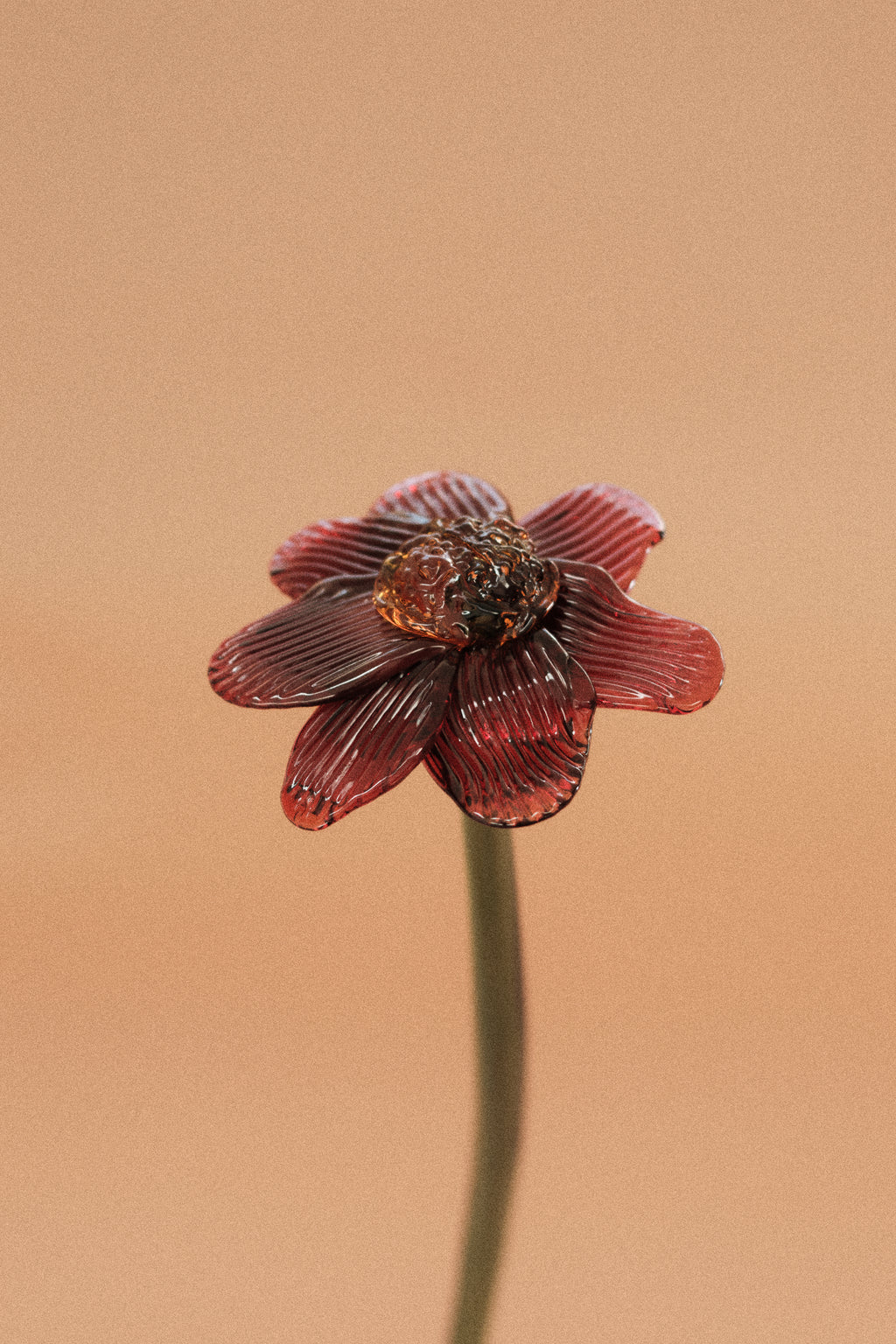 Flor Margarita Roja