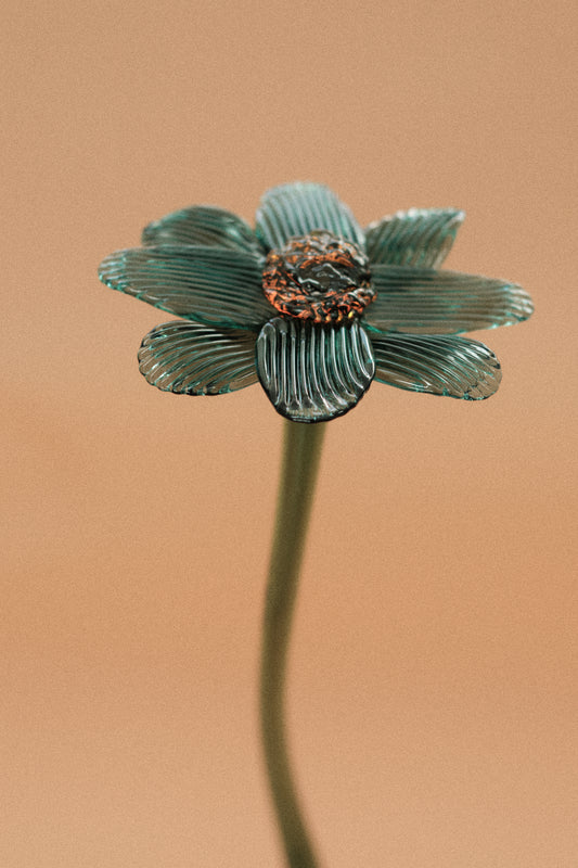 Flor Margarita Azul Teal