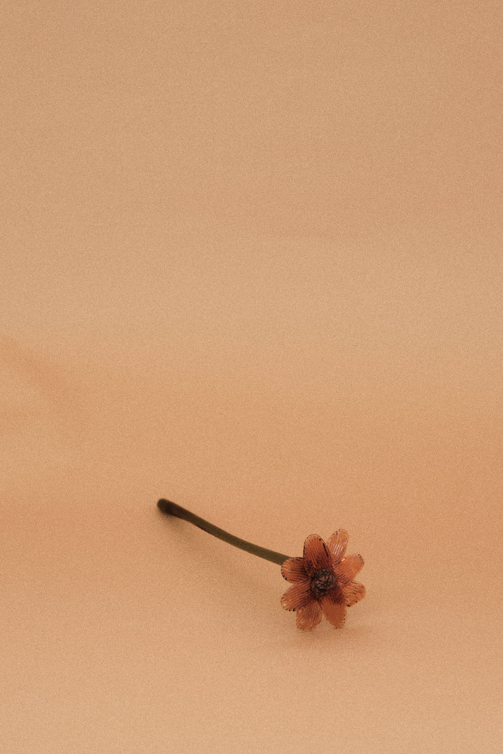 Flor Margarita Naranja
