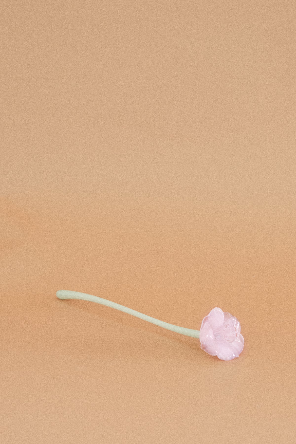 Flor Campanilla Rosa Chic y Traslúcido