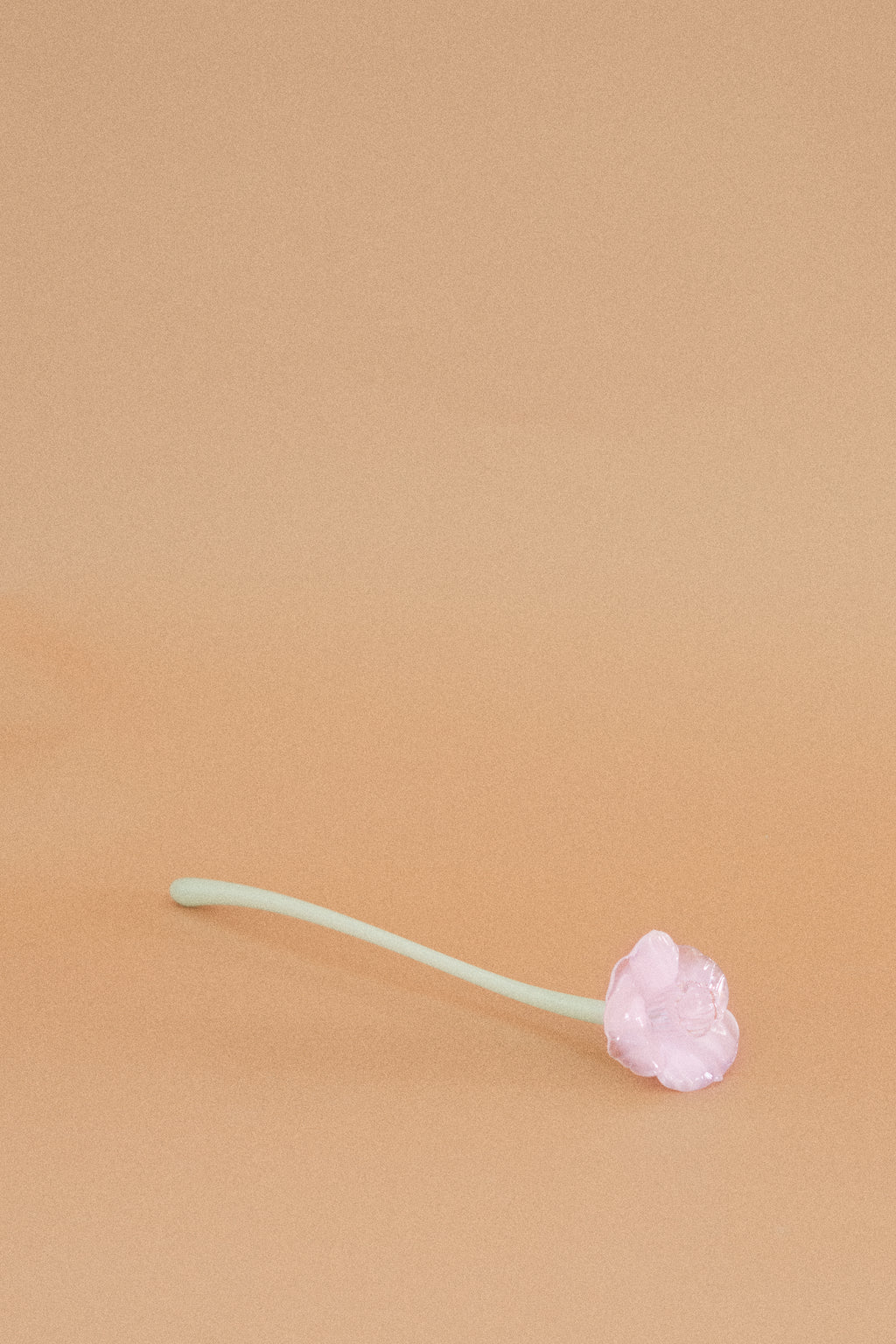 Flor Campanilla Rosa Chic y Traslúcido