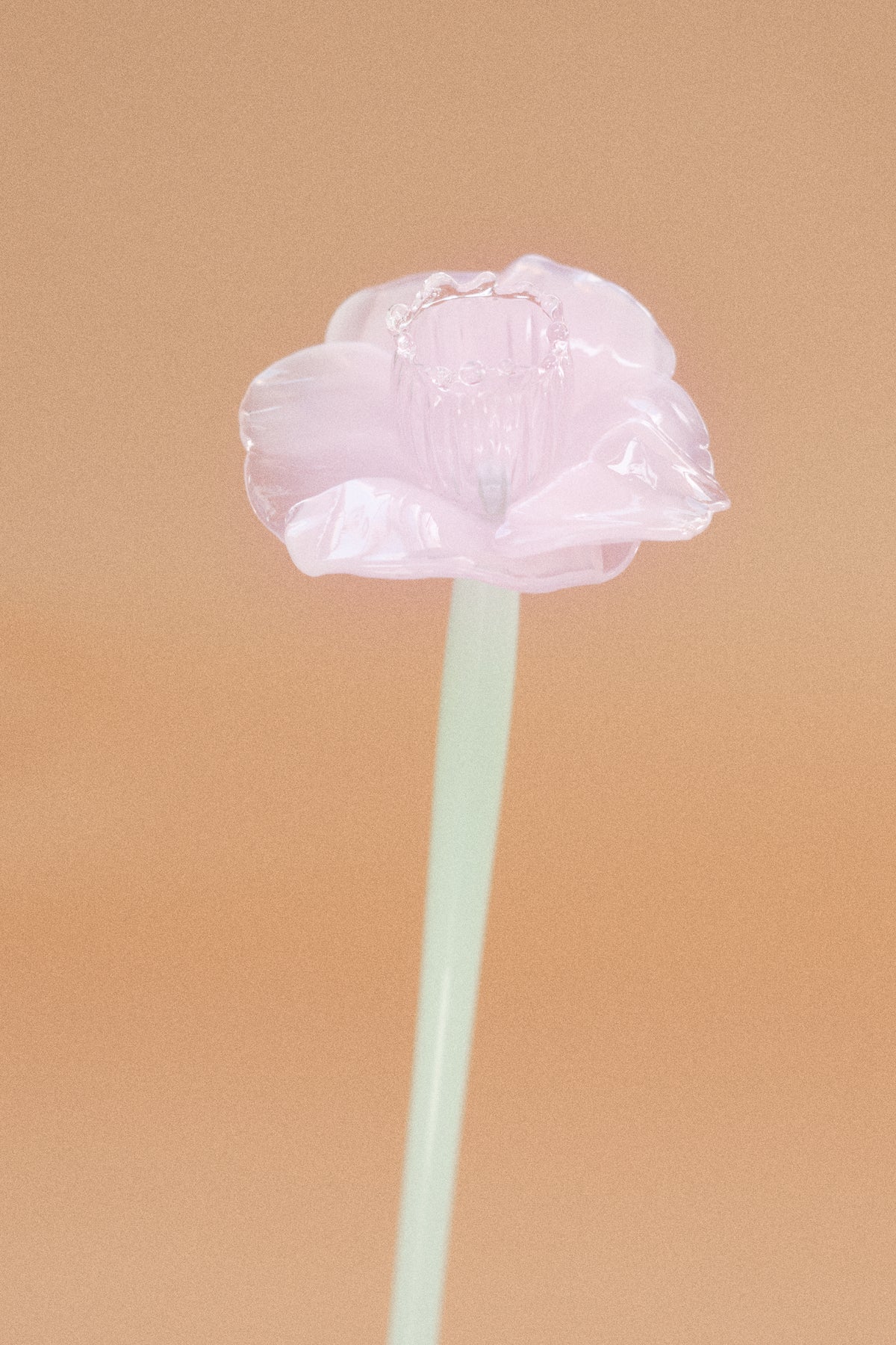 Flor Campanilla Rosa Chic y Traslúcido