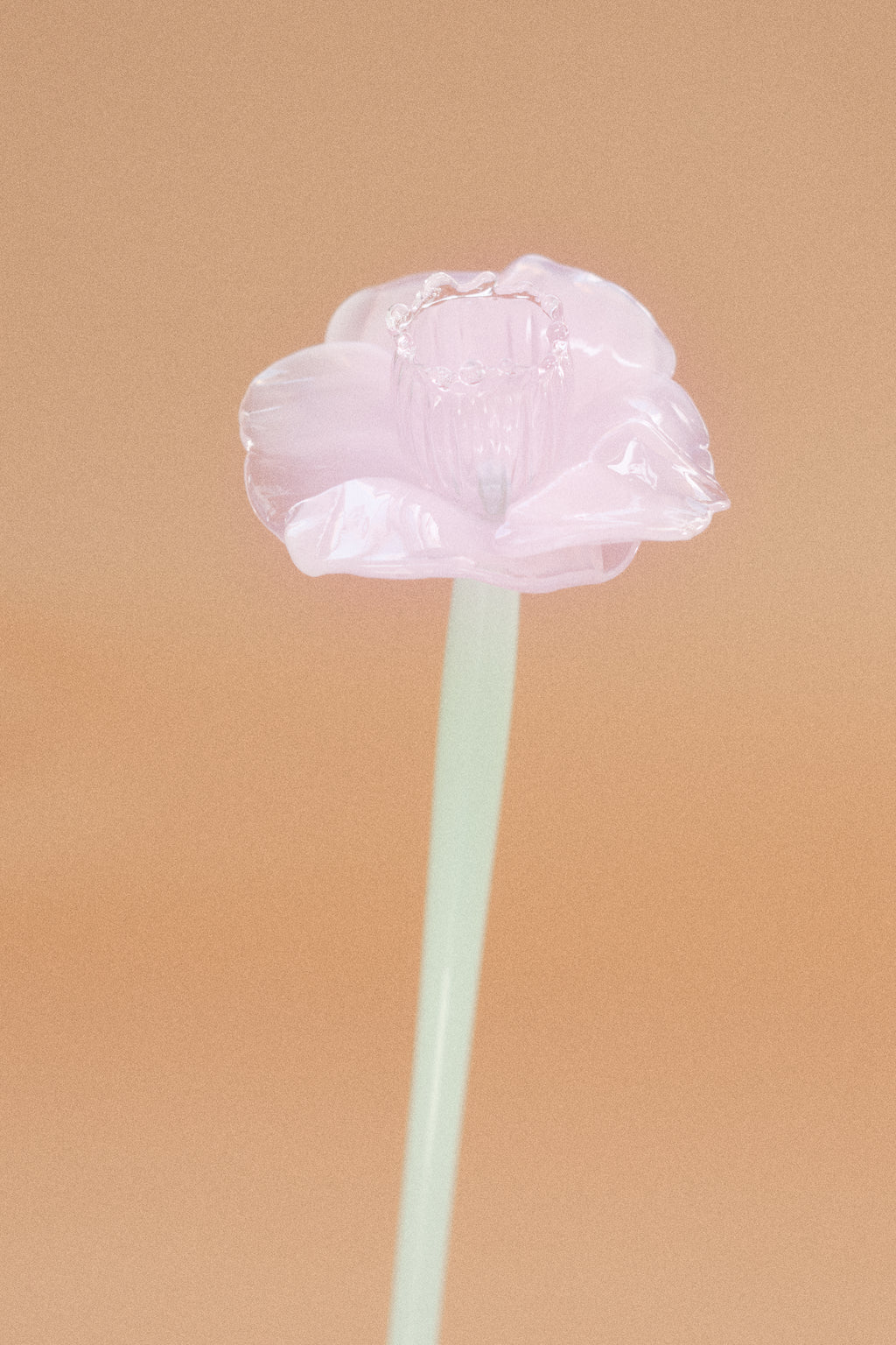 Flor Campanilla Rosa Chic y Traslúcido