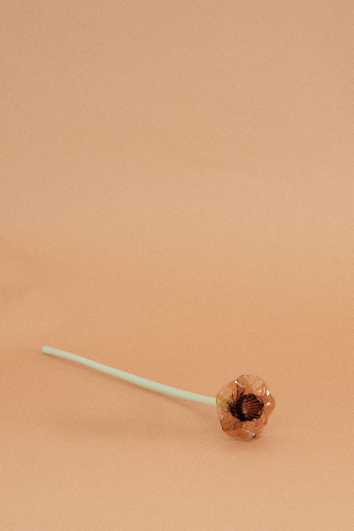Flor Campanilla Naranja