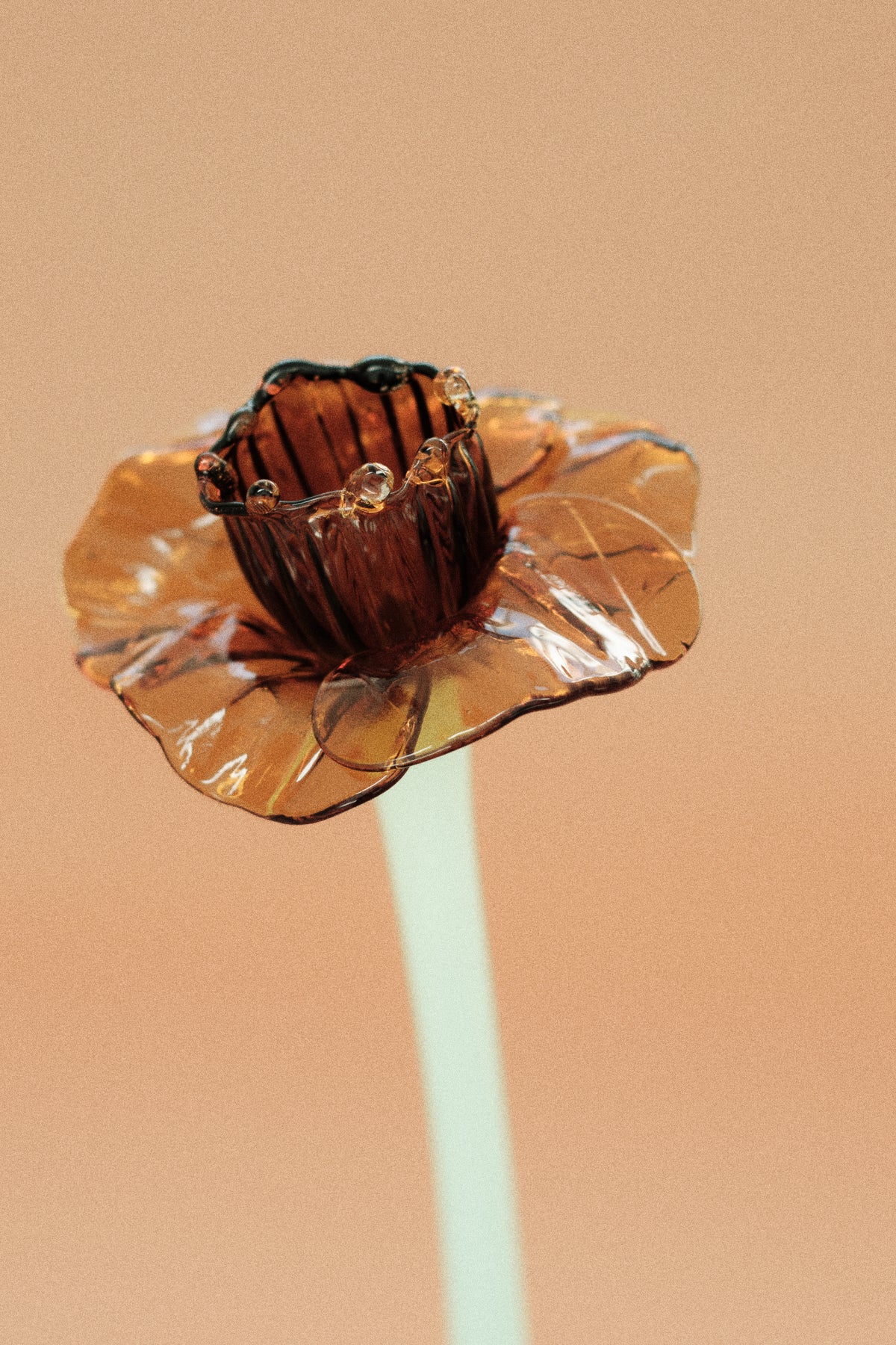 Flor Campanilla Naranja