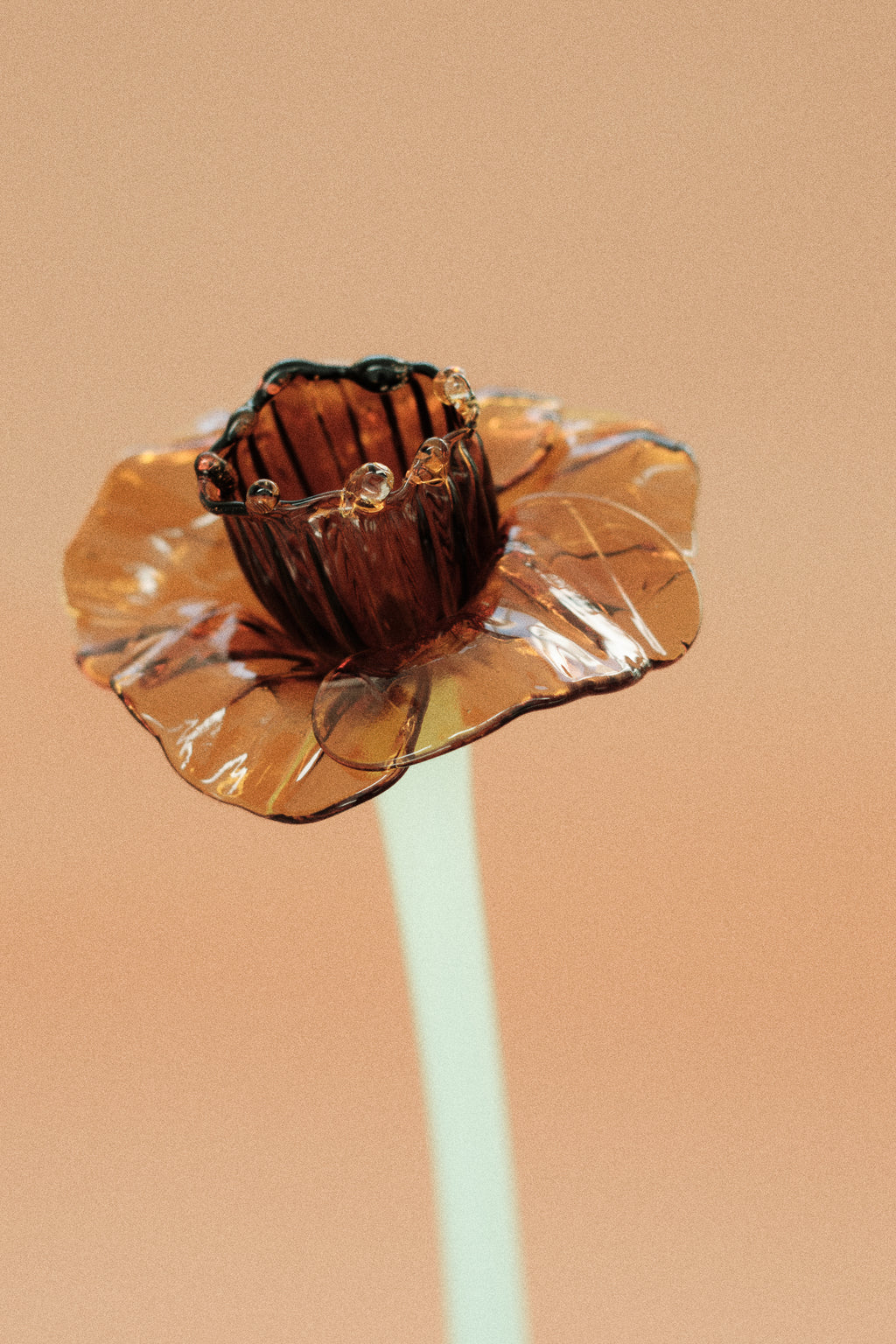 Flor Campanilla Naranja