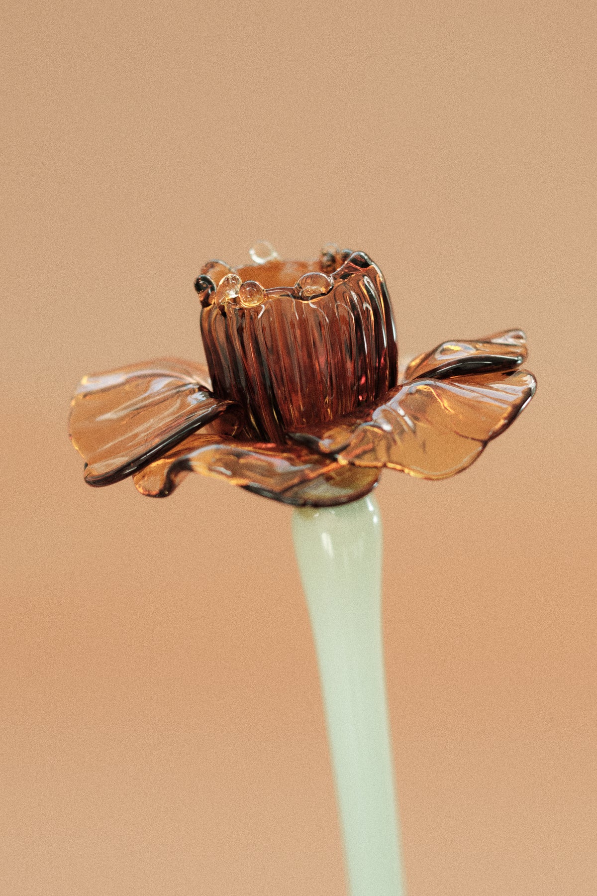 Flor Campanilla Naranja