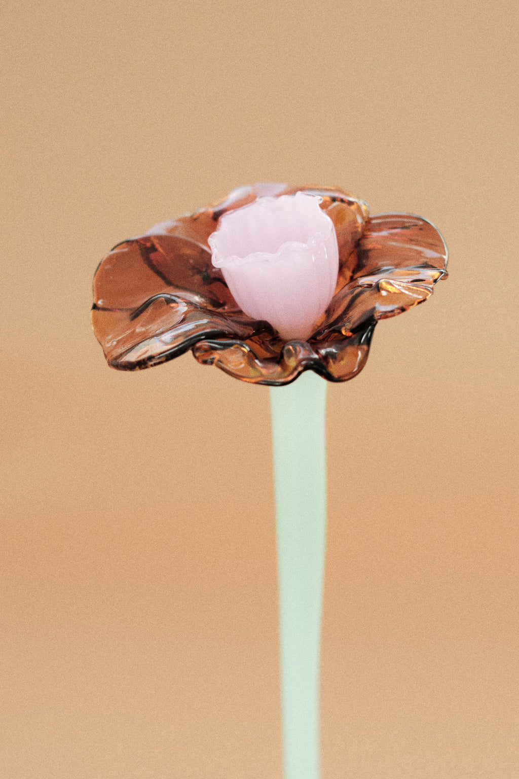 Flor Campanilla Naranja y Rosa