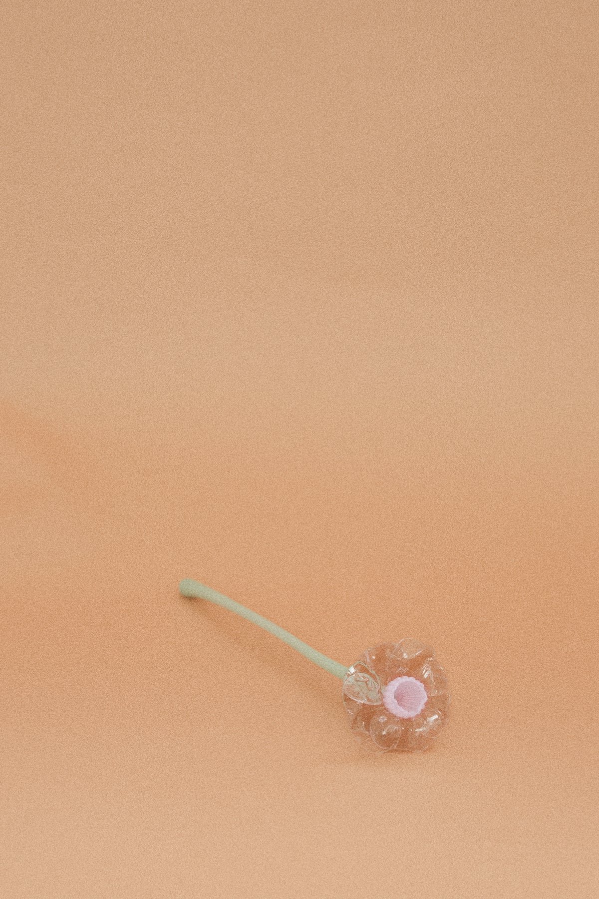 Flor Campanilla Rosa