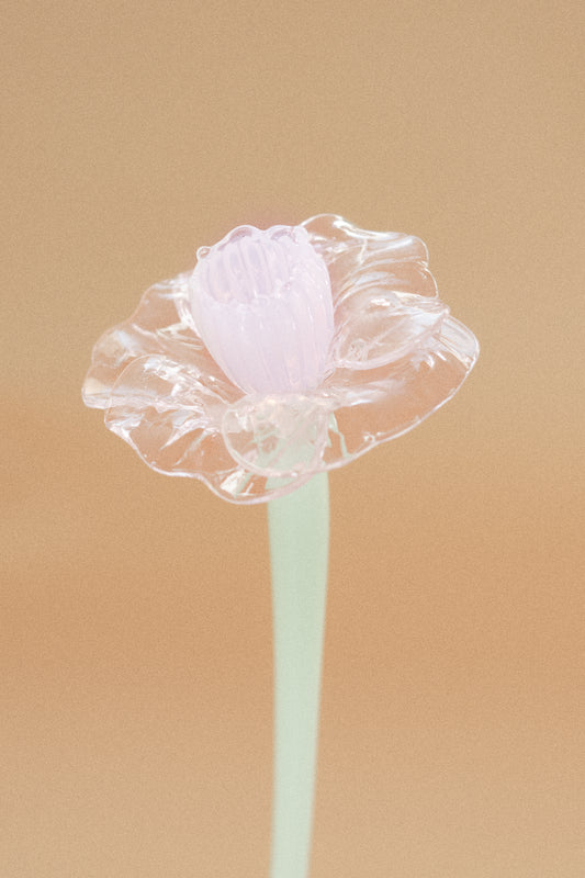 Flor Campanilla Rosa
