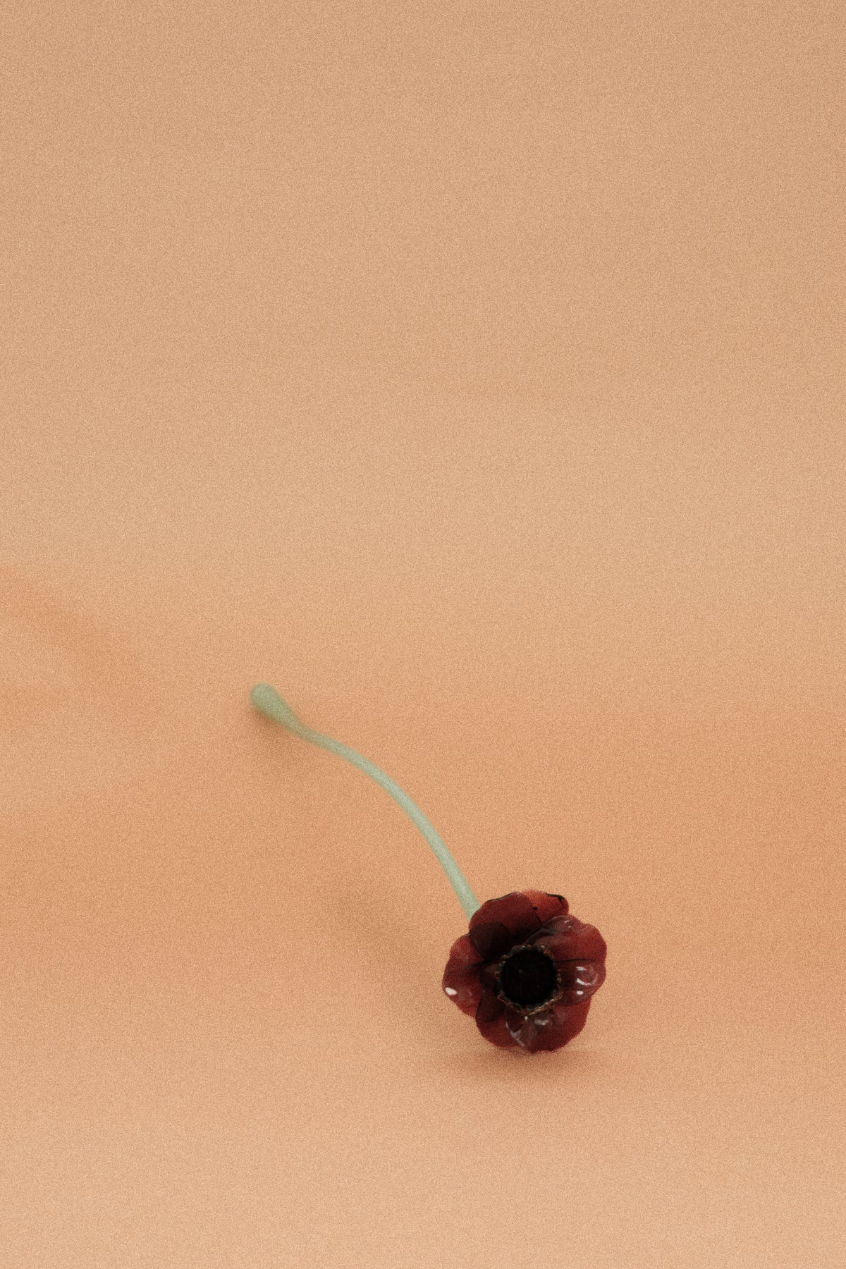 Flor Campanilla Roja