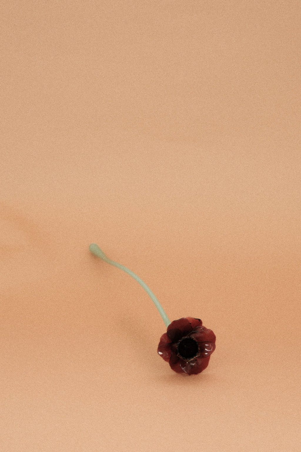 Flor Campanilla Roja