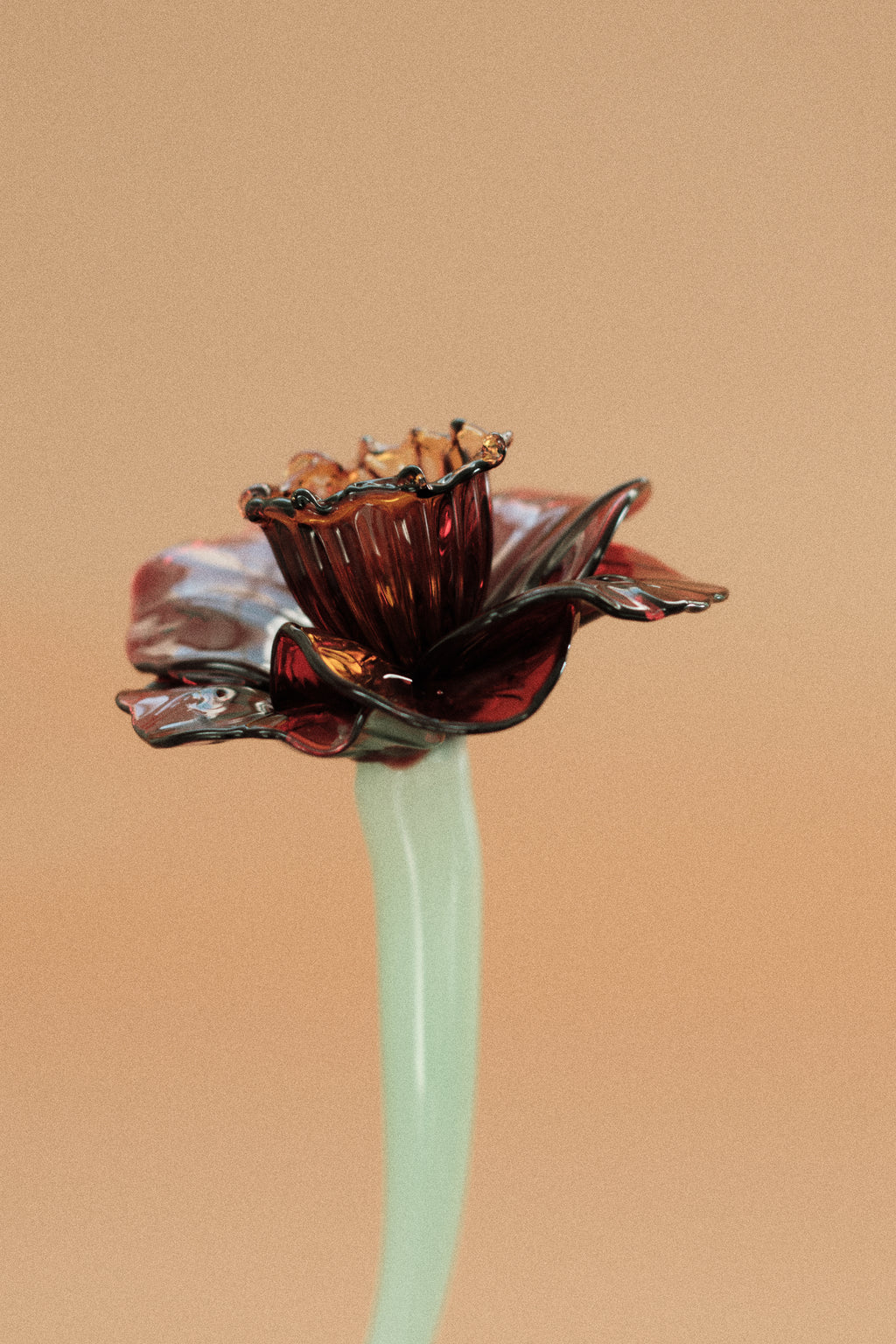 Flor Campanilla Roja