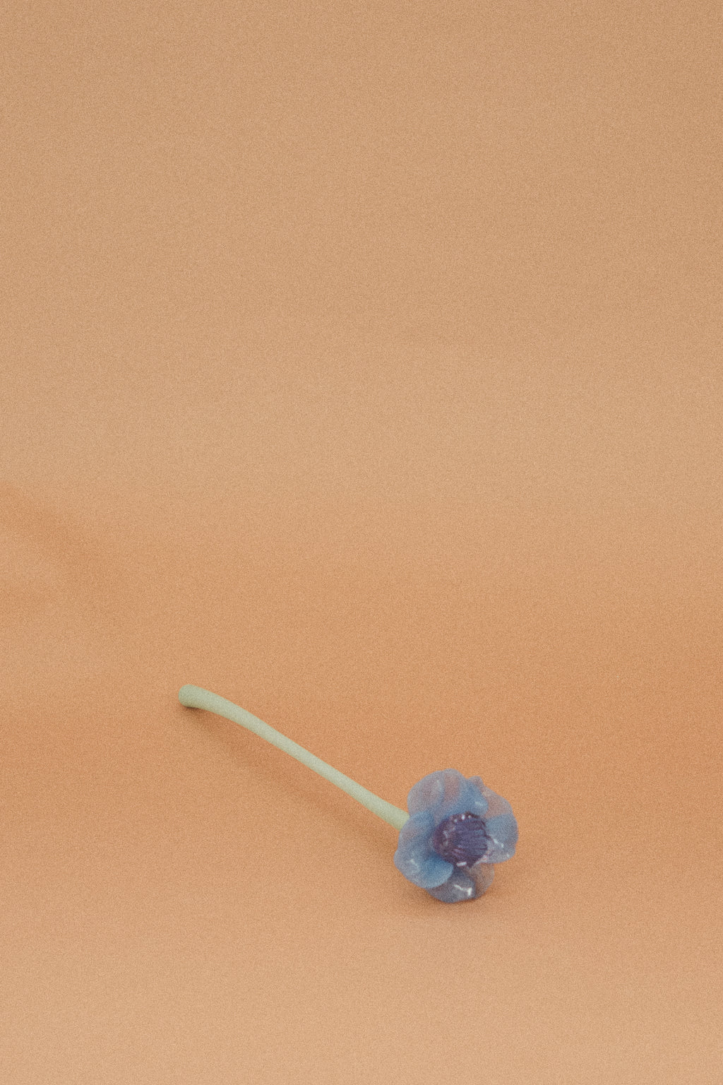 Flor Campanilla Malva