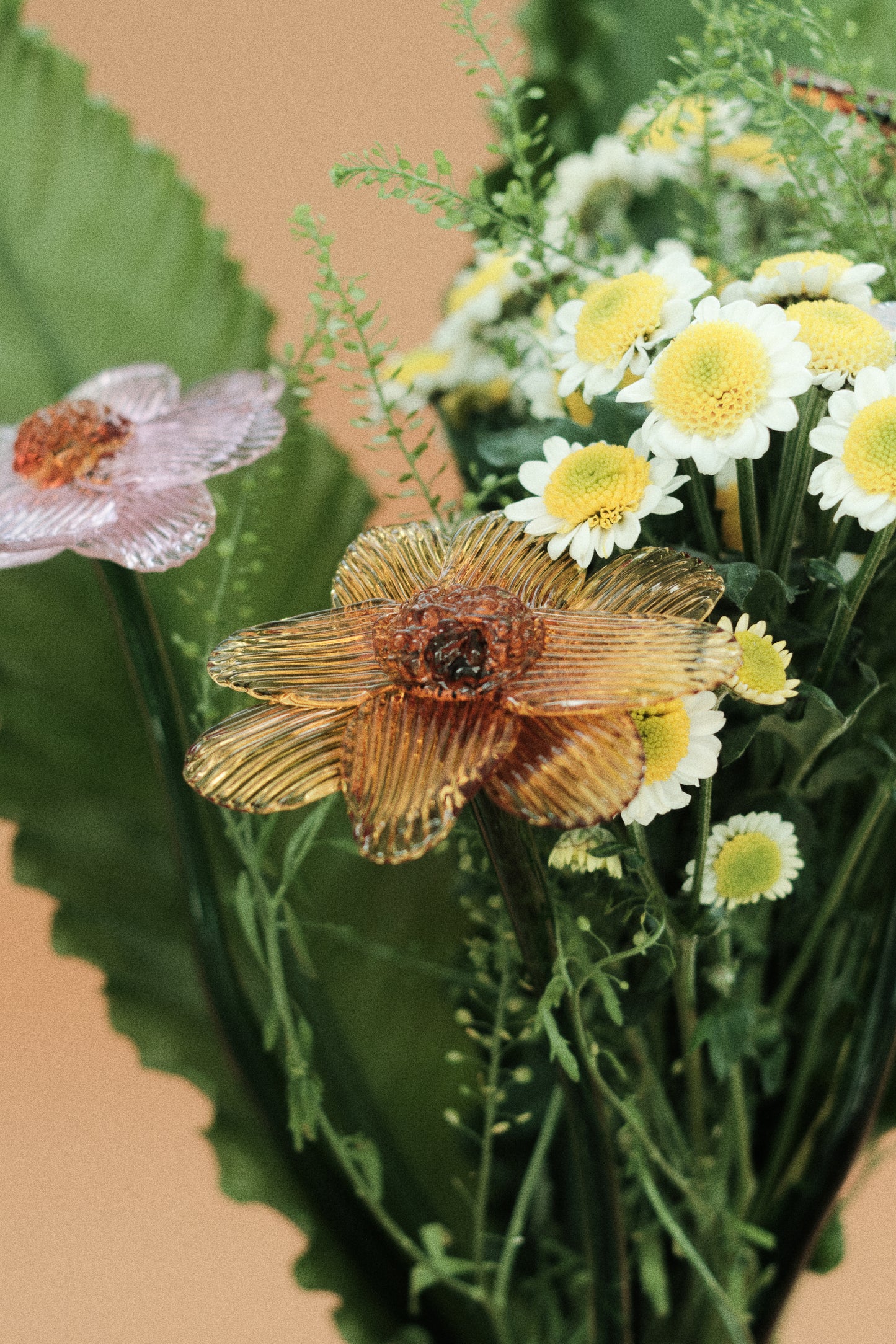 Flor Margarita Limón