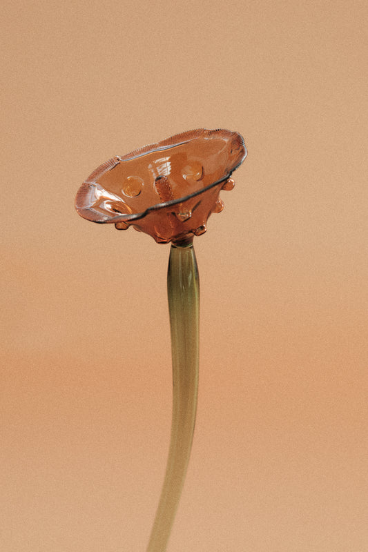 Flor Amapola Naranja