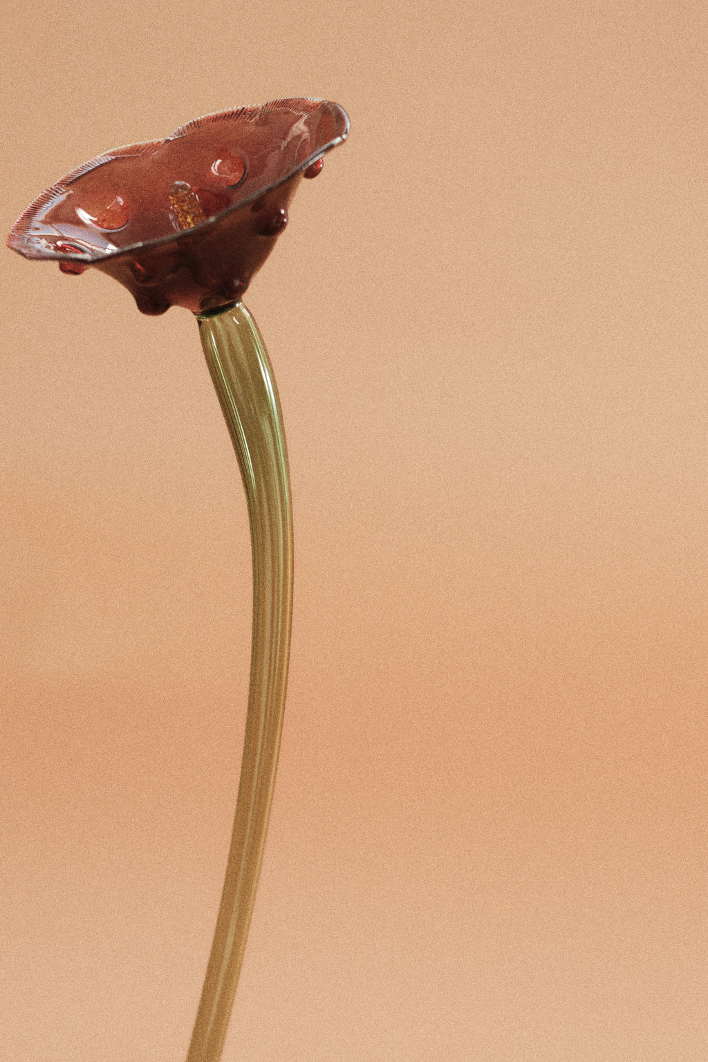 Flor Amapola Roja