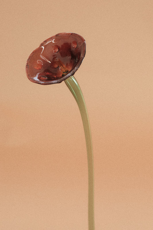 Flor Amapola Roja