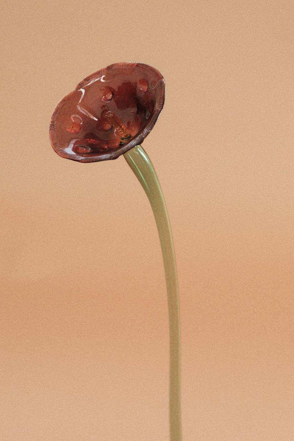 Flor Amapola Roja