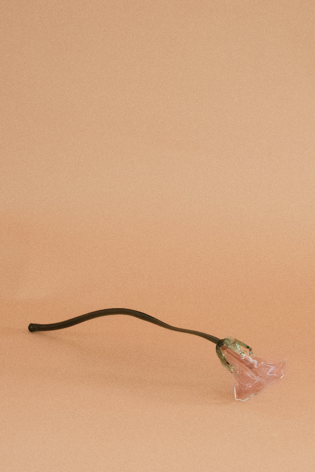 Flor Cala Rosa Traslúcida con hojas