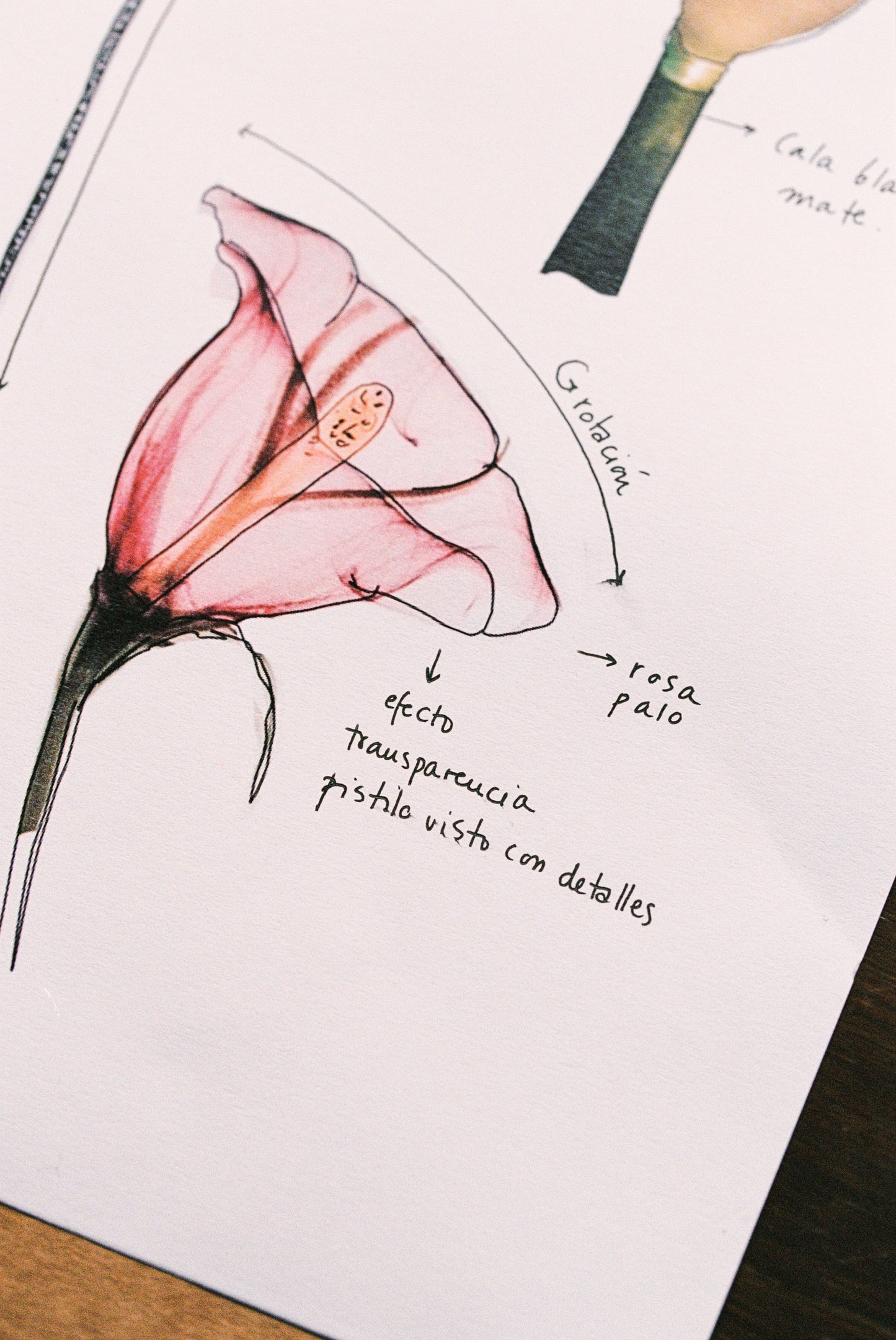 El Dibujo
