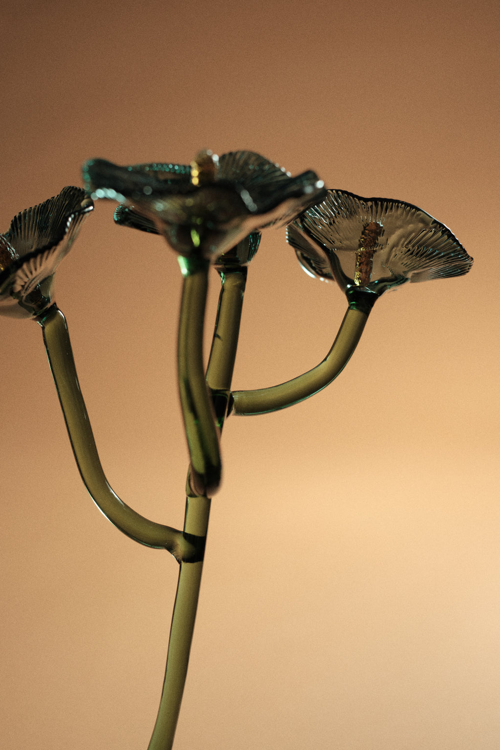 Inflorescencia Azul Teal