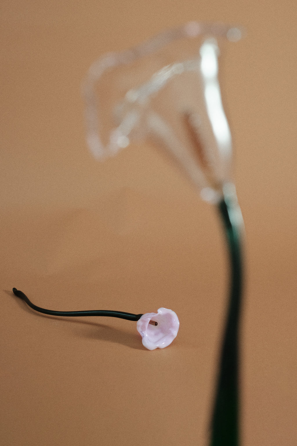 Flor Cala Chic Pink