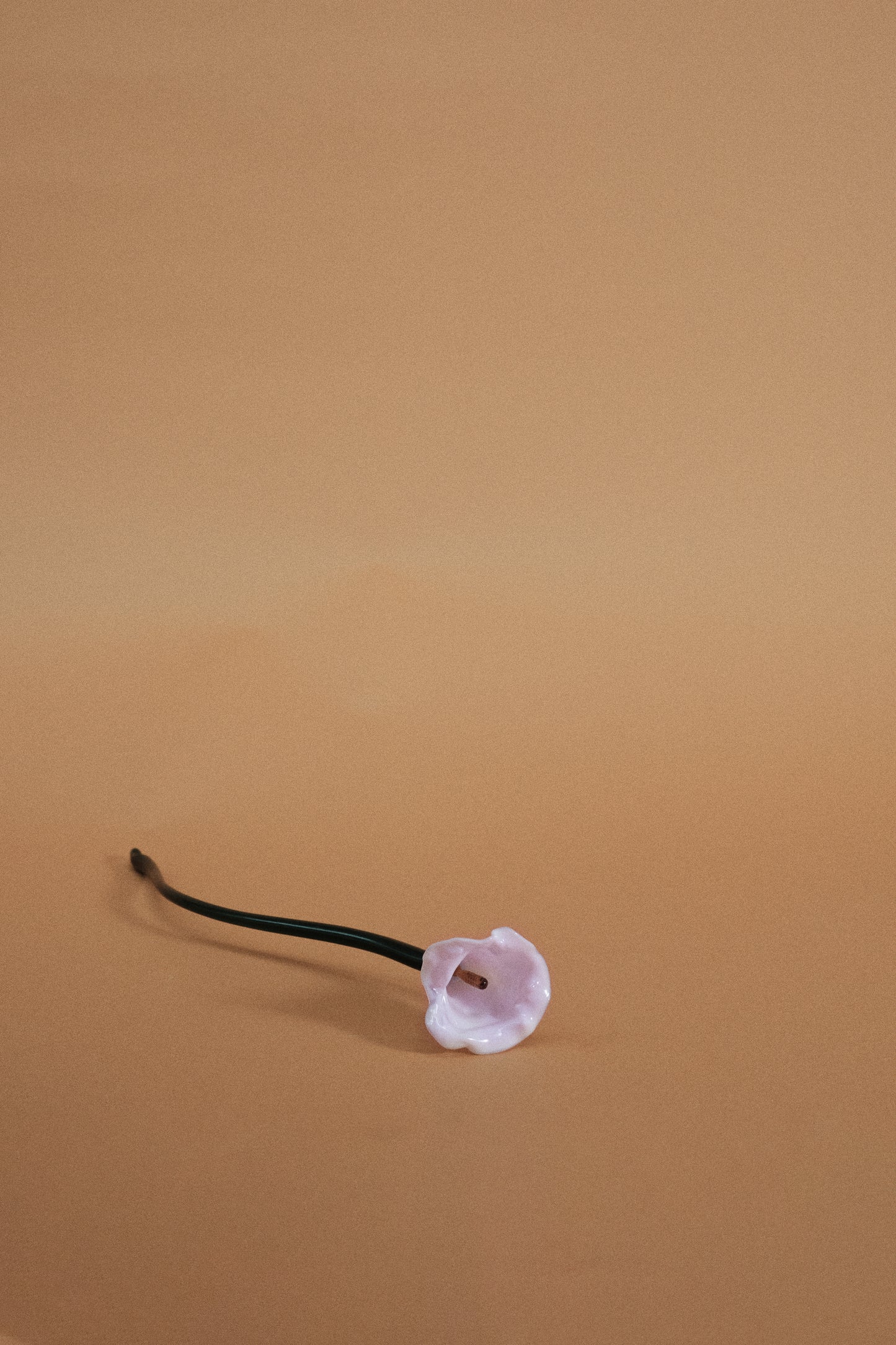 Flor Cala Chic Pink