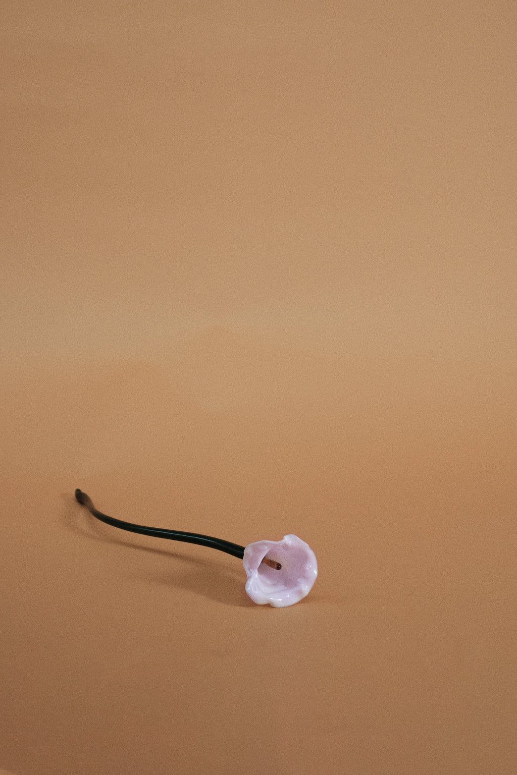 Flor Cala Chic Pink