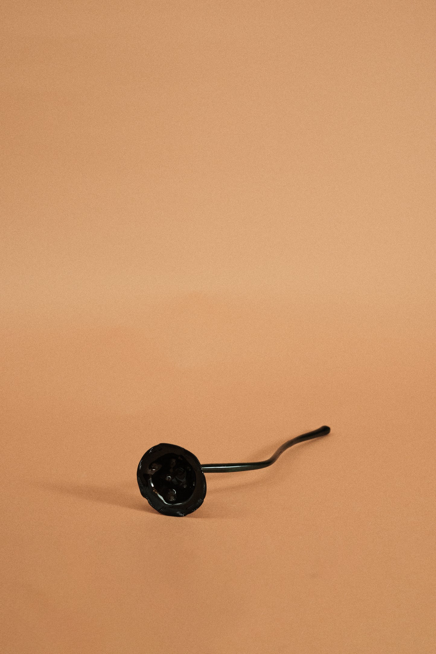 Flor Amapola Negra
