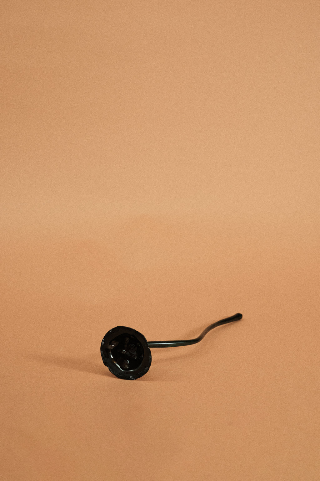 Flor Amapola Negra