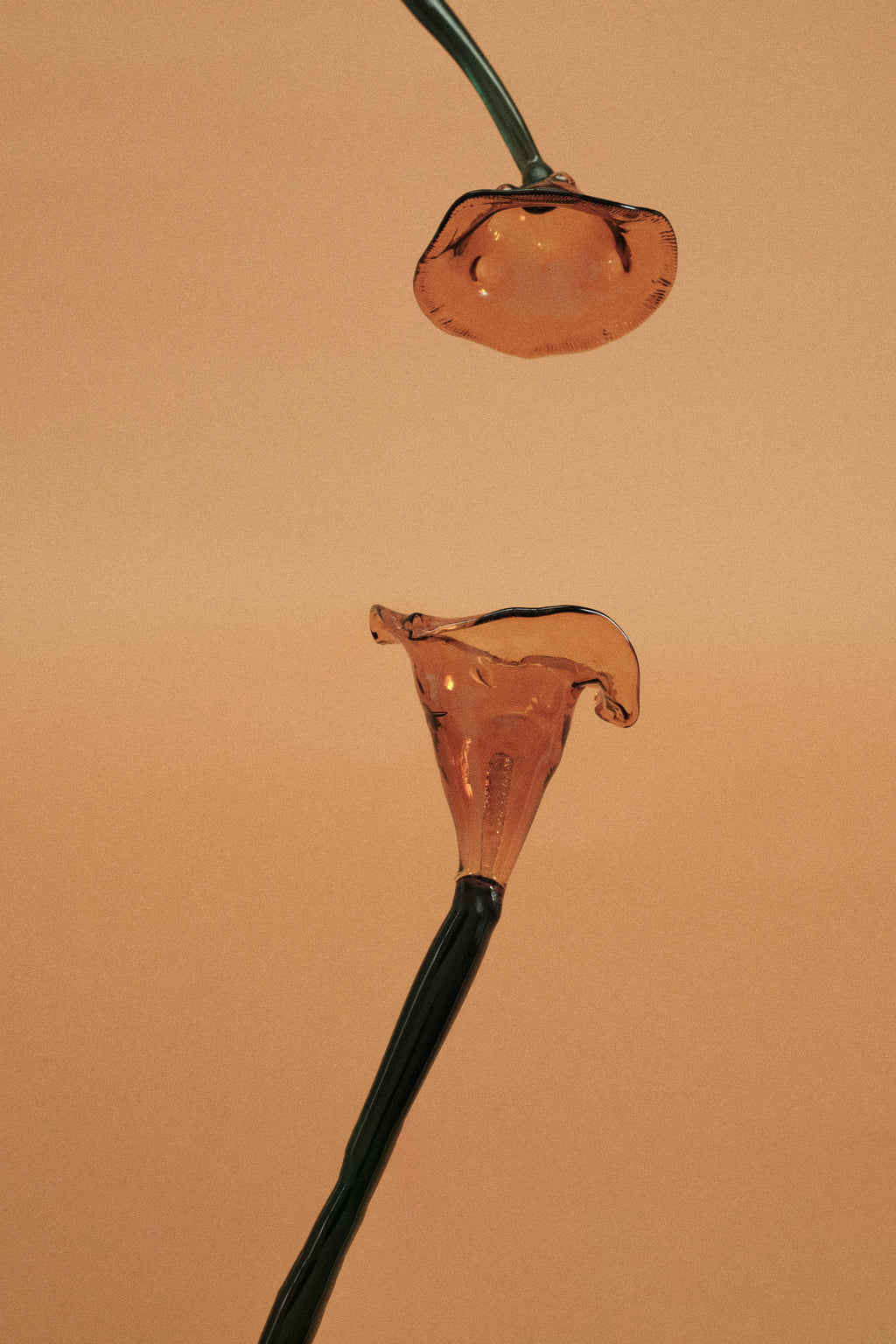 Flor Cala Naranja