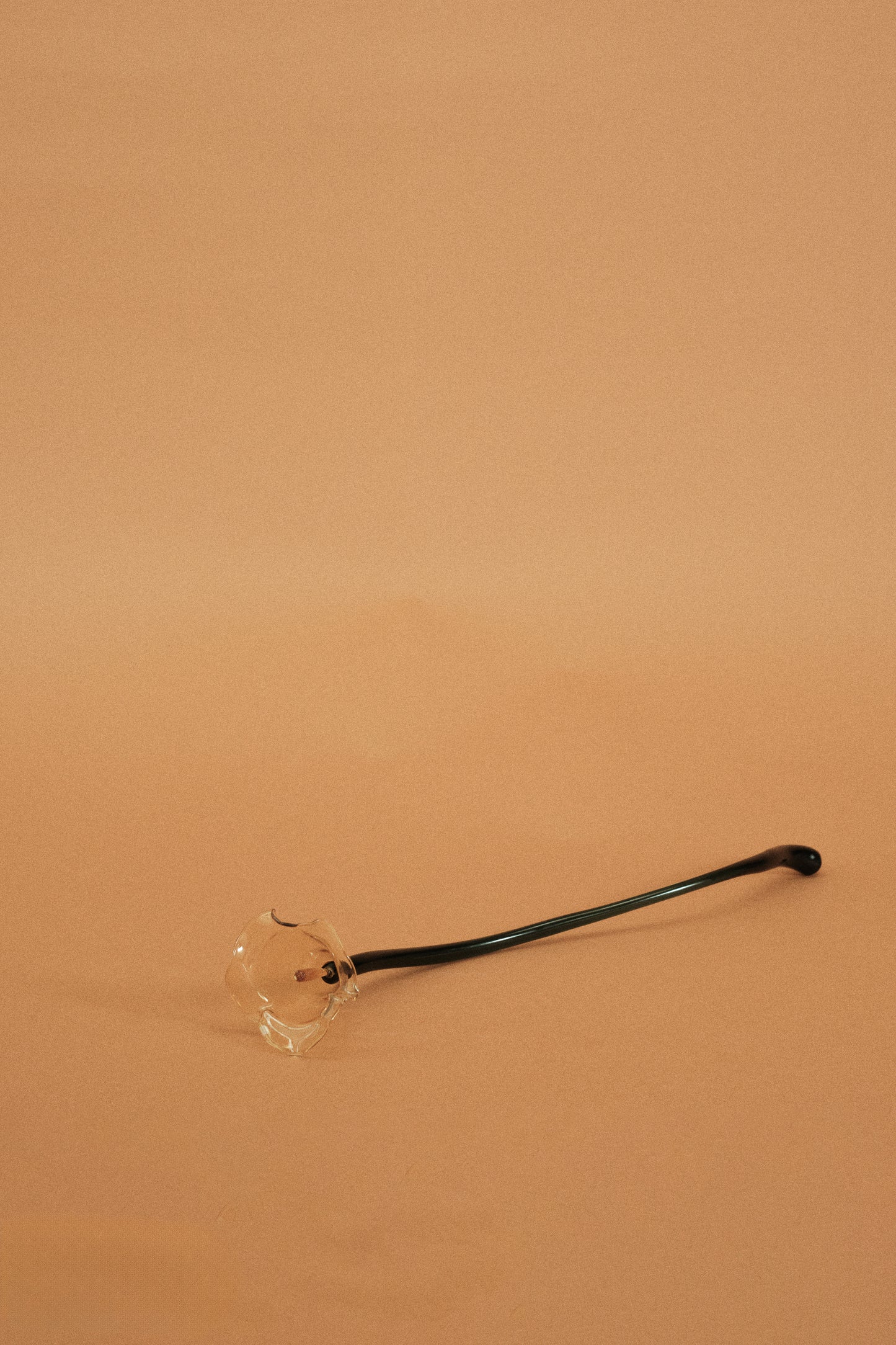 Flor Cala Amarilla