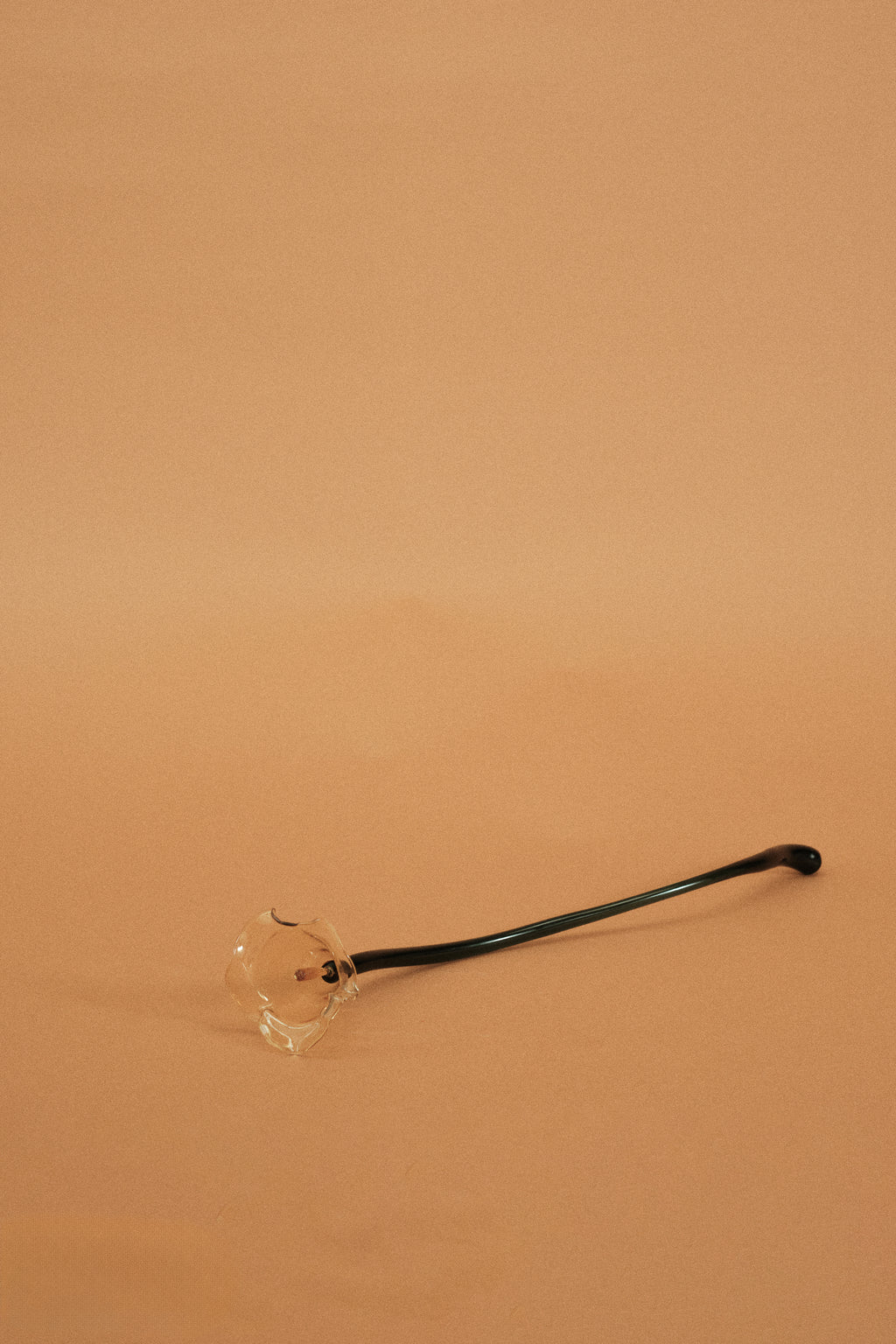 Flor Cala Amarilla