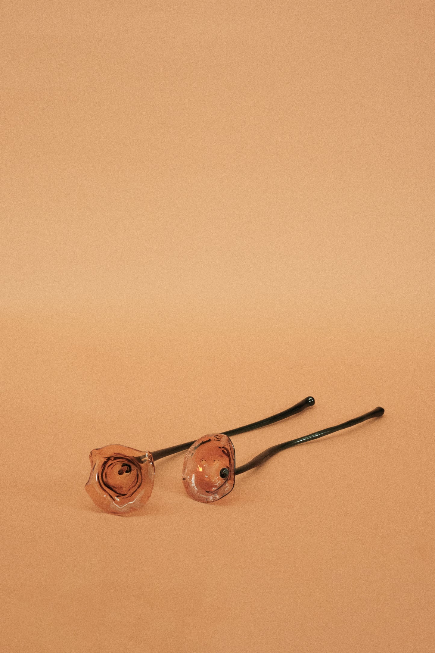 Flor Cala Naranja